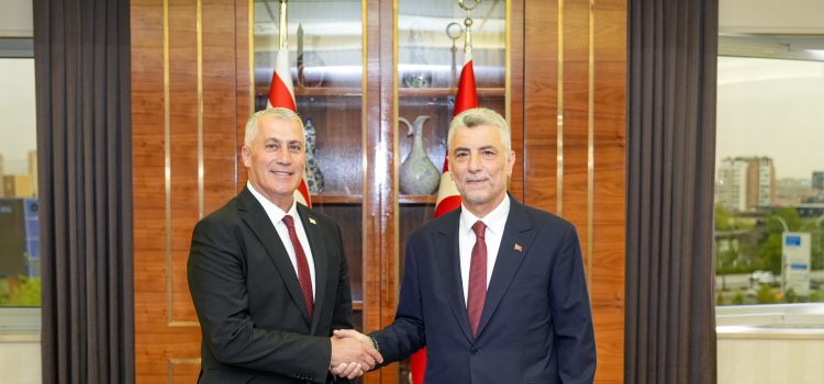 Ekonomi ve Enerji Bakanı Amcaoğlu, Türkiye Ticaret  Bakanı Bolat  ile görüştü