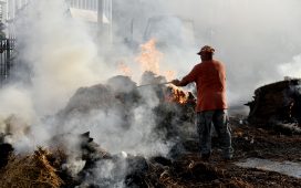 Hayvan üreticileri Başbakanlık önünde balyalarla ateş yaktı